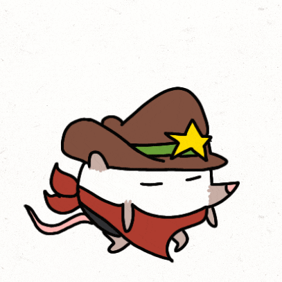 a drawing of a hedgehog wearing a cowboy hat