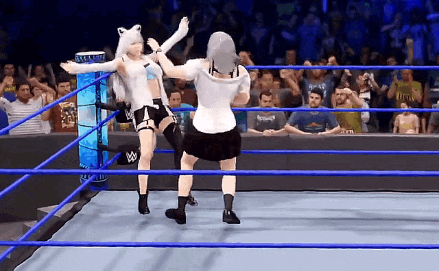 two women are wrestling in a wrestling ring with a crowd behind them