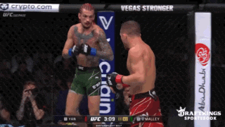 two men are fighting in a cage with vegas stronger written on the corner
