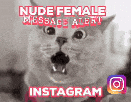 a cat with its mouth open and the words " nude female message alert " on it