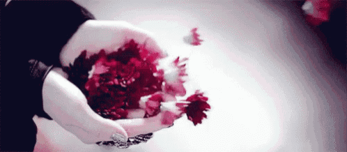 a person is holding a pile of red flowers in their hands .