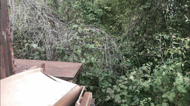 a pile of junk is surrounded by trees and branches