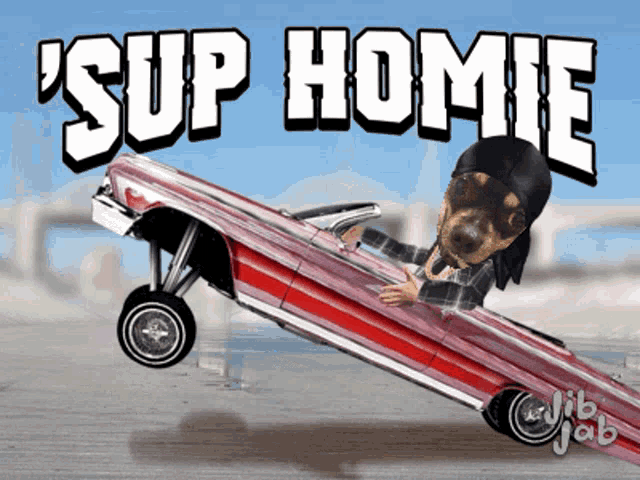 a cartoon of a dog driving a lowrider with the words ' sup homie ' above it