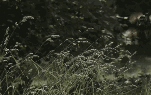 a person is laying in the grass with their arms outstretched in the rain