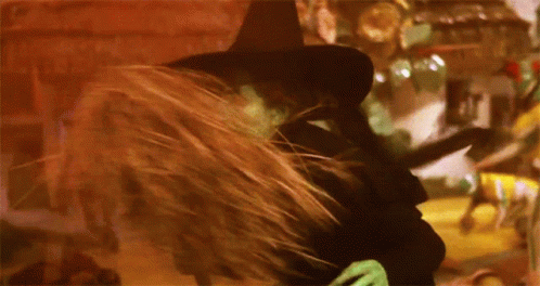 Wizard Of Oz Witch GIF - Wizard Of Oz Witch Where Are You GIFs
