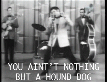 You Aint Nothing But A Hound Dog GIF - You Aint Nothing But A Hound Dog Elvis - Discover & Share GIFs
