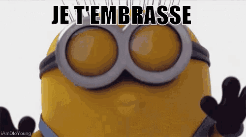 a close up of a minion with goggles and the words je t'embrasse
