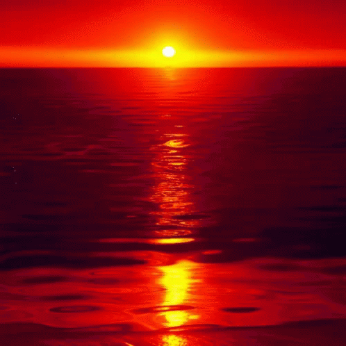 Sunshine Sunset GIF - Sunshine Sunset GIFs