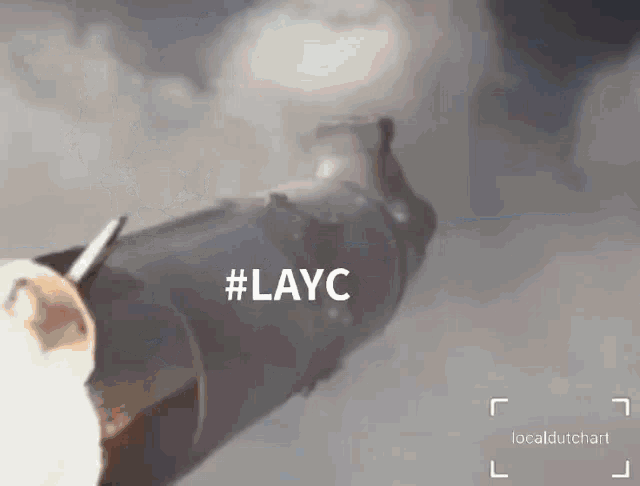 Layc Ape GIF - Layc Ape Lazy Ape GIFs