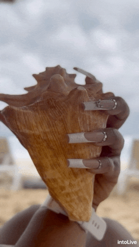 a woman with long nails holds a sea shell in her hand with intolive written below it