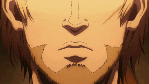 a close up of a man 's face with a beard and hair