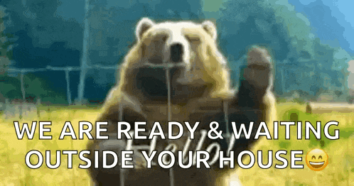 a bear is standing in a field with the words we are ready and waiting outside your house