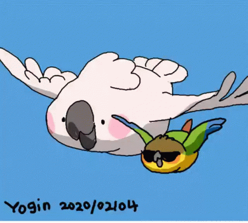 Yogin Bird GIF - Yogin Bird Flying GIFs