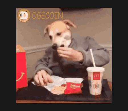 Dogecoin Working GIF - Dogecoin Working Hard GIFs
