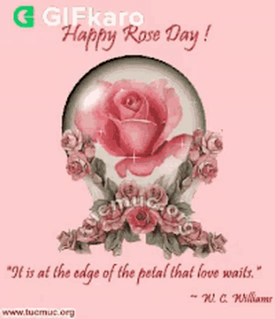 a pink rose in a glass ball with a quote from w. c. williams
