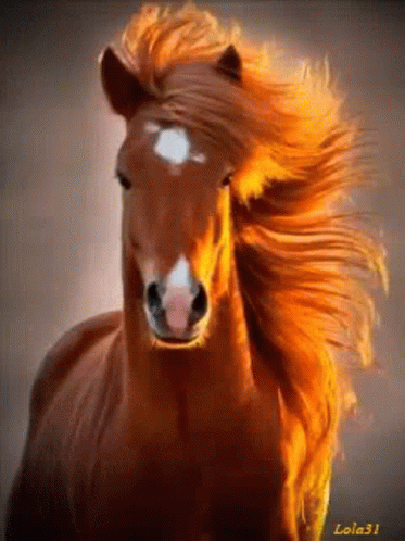 Horse Blink GIF - Horse Blink Stare GIFs
