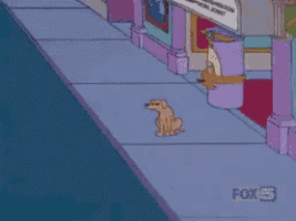 a dog is sitting on a sidewalk in front of a fox 5 sign