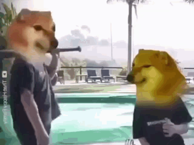 two dogs with their heads on a man 's shoulders are standing next to a pool .