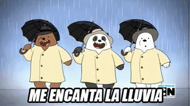 Me Encanta La Lluvia GIF - We Bare Bears Ponchos Raining GIFs