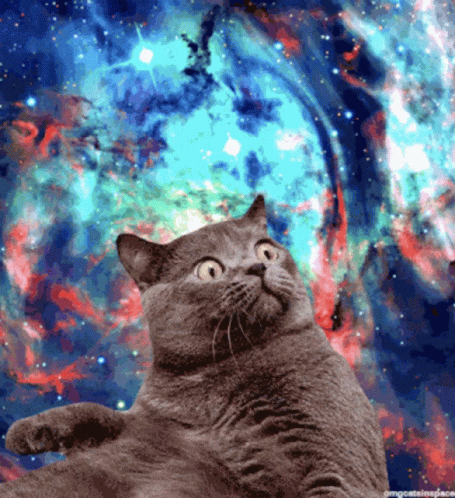 Cat Space GIF - Cat Space Vapor GIFs
