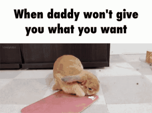 a rabbit is laying on a cutting board with a knife .