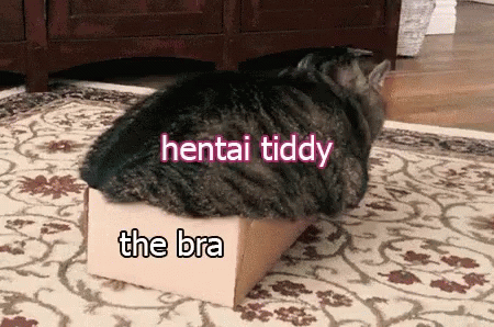 Hentai Tiddy Cat GIF - Hentai Tiddy Cat No Space GIFs