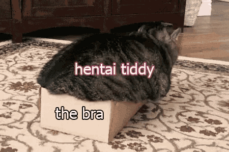 a cat is laying in a cardboard box that says hentai tiddy