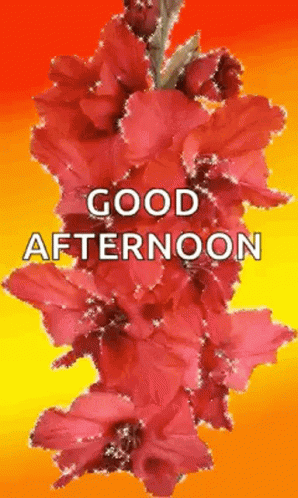 Good Afternoon Flowers GIF - Good Afternoon Flowers Glitter GIFs
