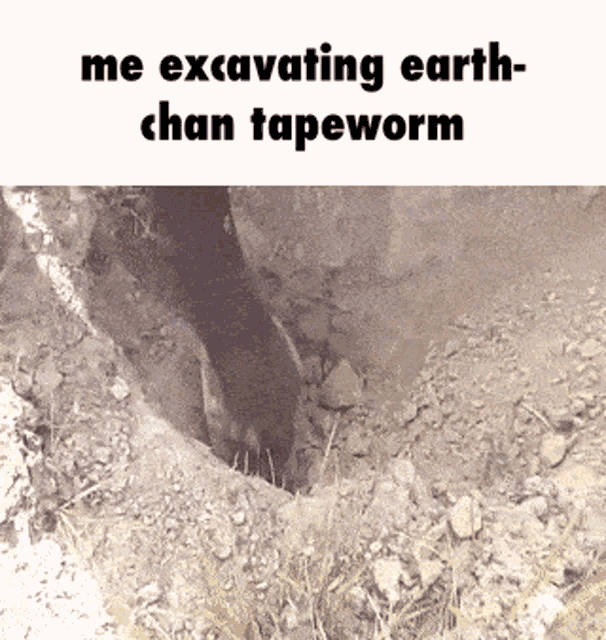 Earth Chan Tapeworm Worm African GIF - Earth Chan Tapeworm Worm African Excavating GIFs