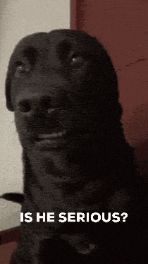 a close up of a black dog with the words is he serious behind it
