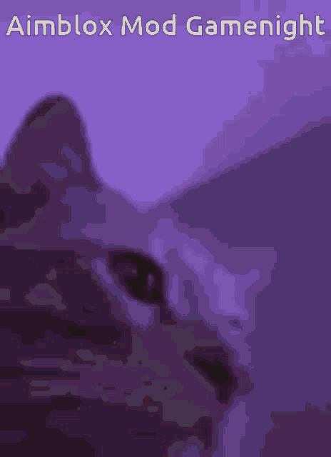 a pixelated image of a cat with the words aimblox mod gamenight written above it