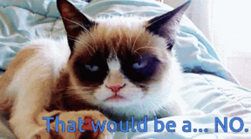 Iam Viki Grumpy Cat GIF - Iam Viki Grumpy Cat Uh No GIFs