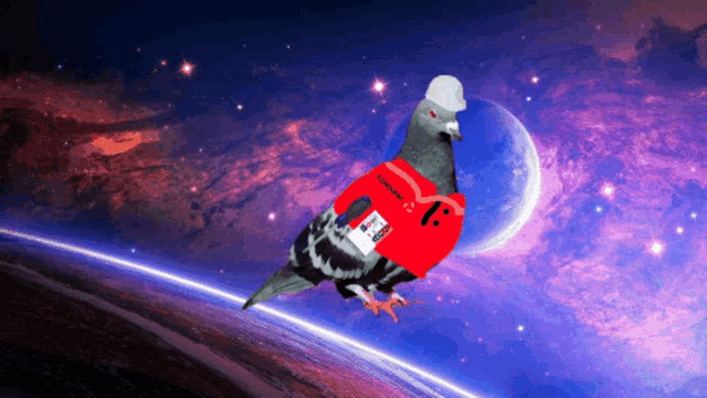 a pigeon wearing a red shirt with a name tag that says ' amanda ' on it