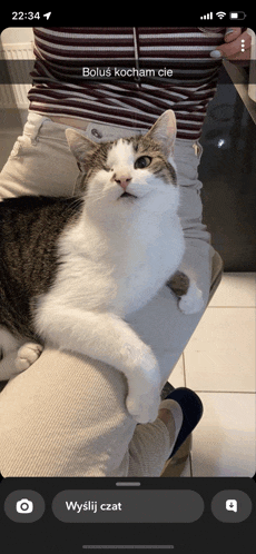 a cat is sitting on a person 's lap and a snapchat says bolus kocham cie