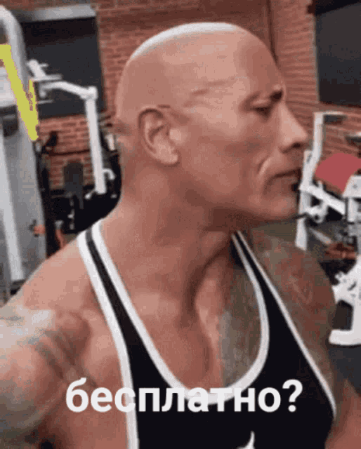 a bald man in a black and white tank top is asking " бесплатно " in a gym