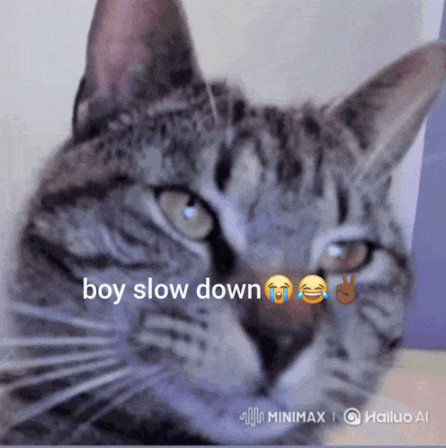 a close up of a cat with the words boy slow down written on it