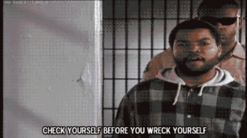 Check Yourself Before You Wreck Yourself Ice Cube GIF