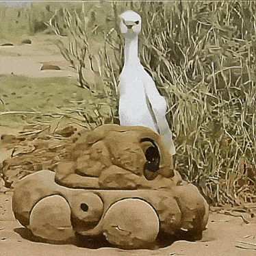 a painting of a bird sitting on top of a turtle