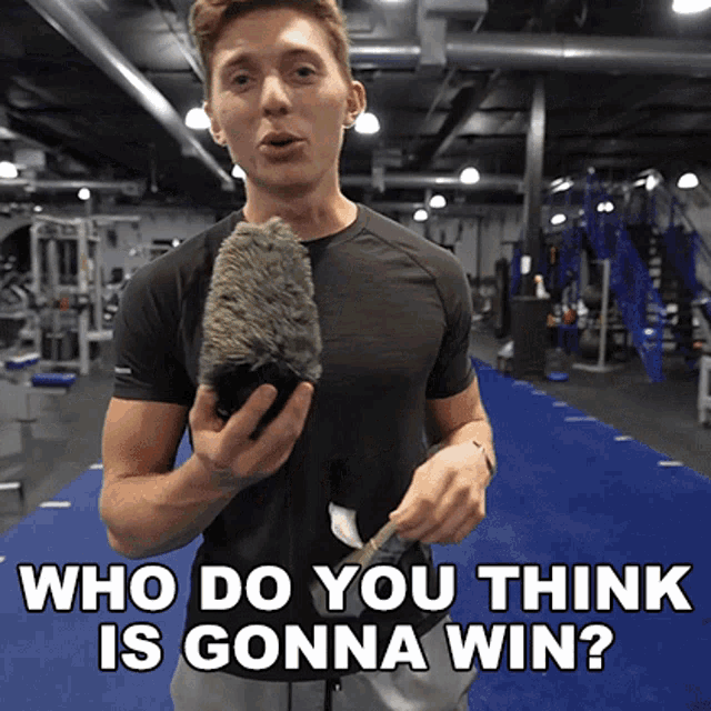 Who Do You Think Is Gonna Win Brandon William GIF - Who Do You Think Is Gonna Win Brandon William Who Do You Think Will Win GIFs