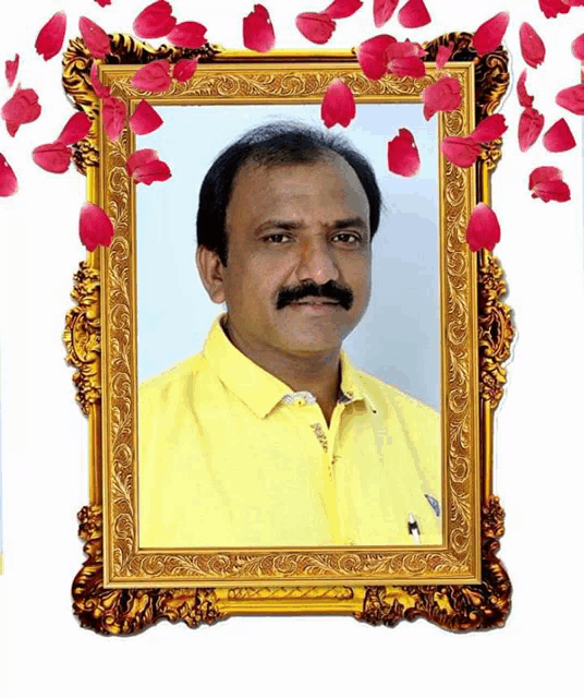 a man in a yellow shirt in a gold frame