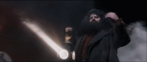 Hagrid Come On GIF - Hagrid Come On Harry Potter GIFs