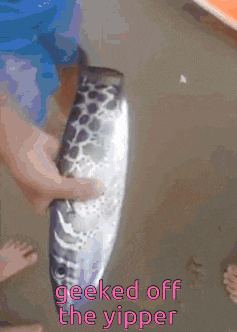 a person is holding a fish with the words geeked off the yipper on the bottom