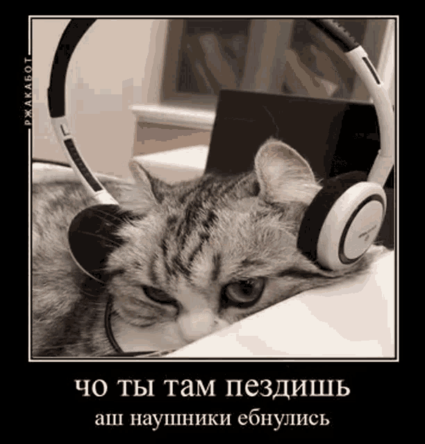 a cat wearing headphones laying on a desk .