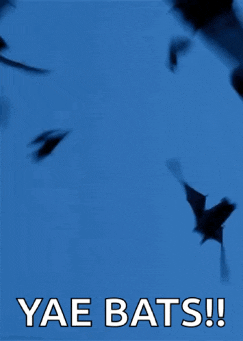 a blue background with bats and the words yae bats in white