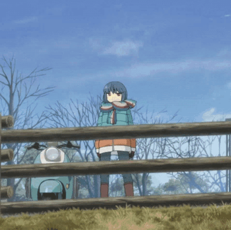 a girl stands behind a wooden fence with her hands in the air
