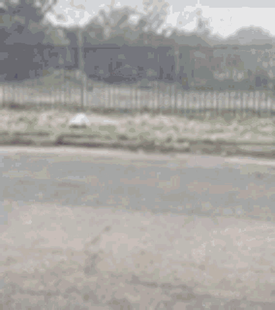 a blurry picture of a man in a black shirt standing on a dirt road .