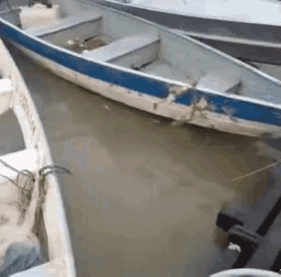 a blue and white boat is sitting in a body of water .
