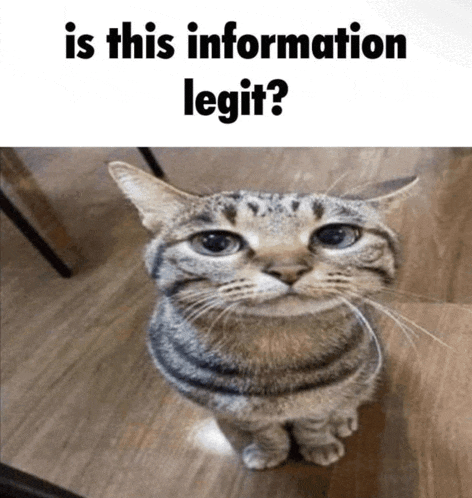 a cat is sitting on a wooden floor and looking up at the camera with a caption that says is this information legit ?