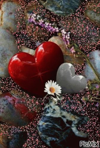 Nasserq Love GIF - Nasserq Love Flowers GIFs