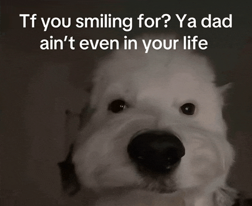 a white dog with a caption that says tf you smiling for ya dad ain t even in your life